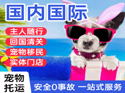 图木舒克唐王城空运代理国际宠物托运 【国